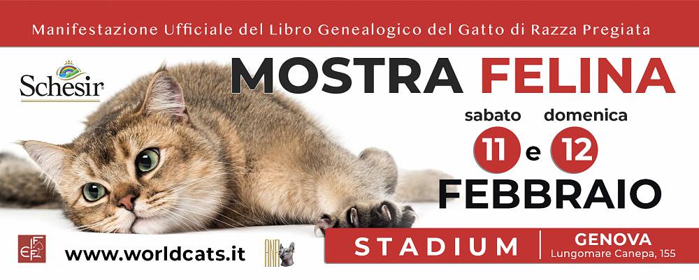 Mostra internazionale felina di genova